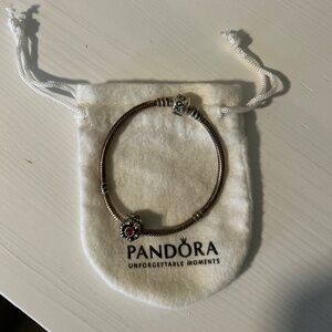 Pandora Bracelet with charm